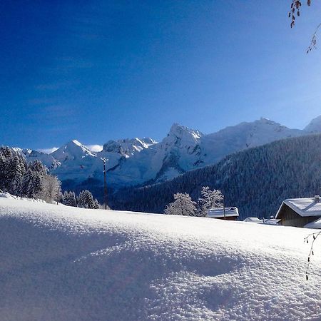 Chalet La Vigogne Et Spa เลอกรองด์บอร์นอง ภายนอก รูปภาพ