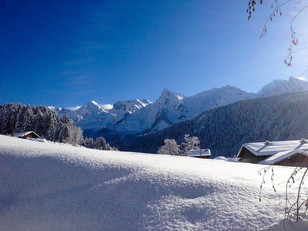 Chalet La Vigogne Et Spa เลอกรองด์บอร์นอง ภายนอก รูปภาพ